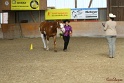 23-APHA SS_009